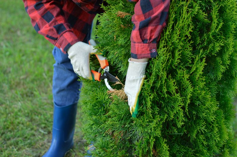 Arborist with Pruning Tools